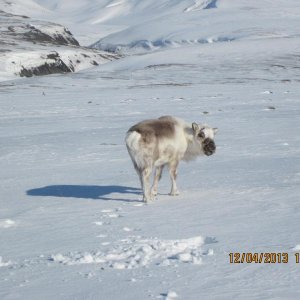 IMG 0849