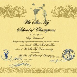 Shod an certificate, Wu Shu Ky Karate,  2002