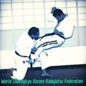 Okinawa KarateJutsu