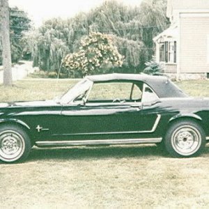 My 64 1/2 stang