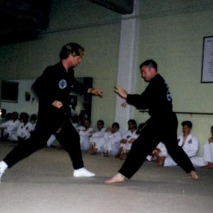 Demonstrating thee two-man form, Jang Kwon, with Master Mark Wise during a demonstration in Austin, Texas.