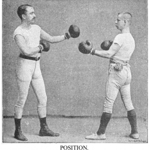 Position - "Boxing" by Allanson-Winn
