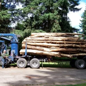 The load arrives - how many people have had a log truck on their driveway?? C'mon?? Well ... for a city-born gal, this was a big deal for me.