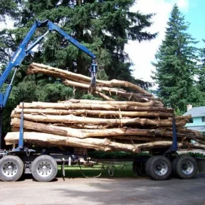 The self-loader unloading timber from the rear.