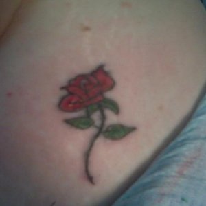 The refurbished rose. It's on my lower left abdomen very near the hip.