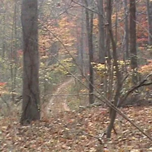 The path in at Wades Gap in Franklin county, Va.