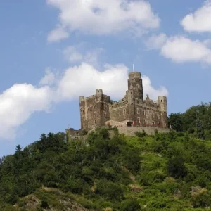 Castle on the Rhine