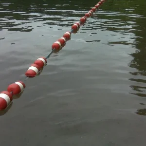 Media '...' in album 'At the lake ...'