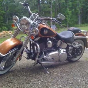 '08 Softail