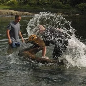 water training