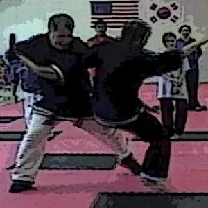 Kempo Leg Sweep