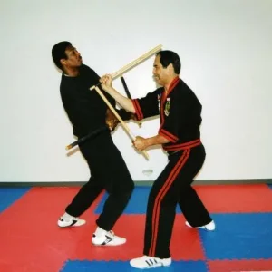 Double Sticks 2
