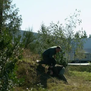 Training outdoors Sat 10 11 08 working on uneven rough ground covered with hidden obstacles and dangers and lessons.