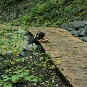 training outdoors Sat 10 11 08 rock massage while rolling about off and on the foot bridge. Staying low