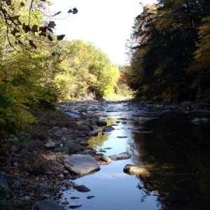 Vermont reiver view