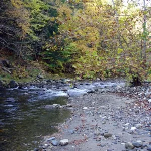 Vermont river view