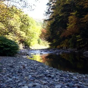 Vermont river view