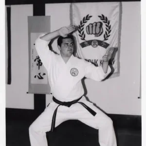 Pyung Ahn Sa Dan (Opening movement)
