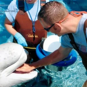 Recent visit to the aquarium - Whale enounter program