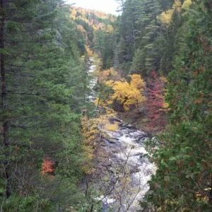 Our view from the ledge where we ate lunch.