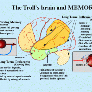 Troll's Brain and memory