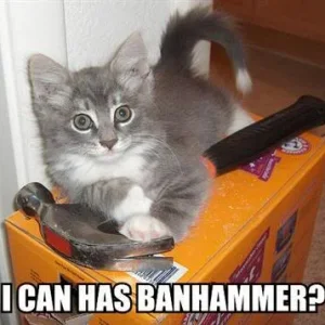 BanHammerlol