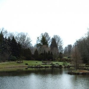 Long view of the pond and islands