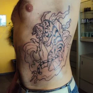 tiger style!
Done by a fellow martial artist