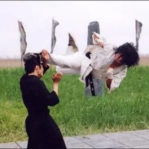 600full fighter in the wind photo