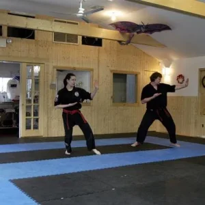 Doing forms for my black belt test, December 2004