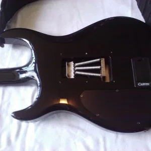 Carvin DC 200 (neck joint, open trem cav)