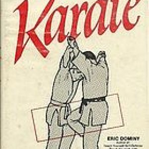 Teach Yourself karate Org cover
