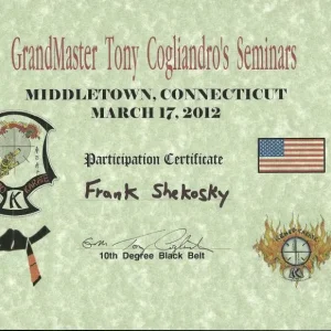 American Kenpo and modern arnis seminars March 17, 2012