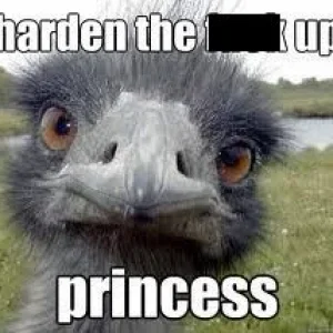 HTFU