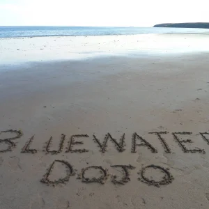 Media '[No title]' in album 'Bluewater Dojo'