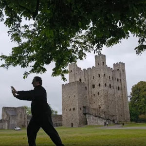 "Push Down" from Yang Style Taijiquan