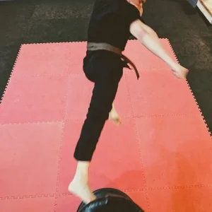 Kenpo 8-20-26