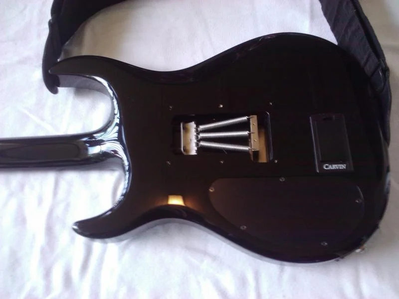 Carvin DC 200 (neck joint, open trem cav)