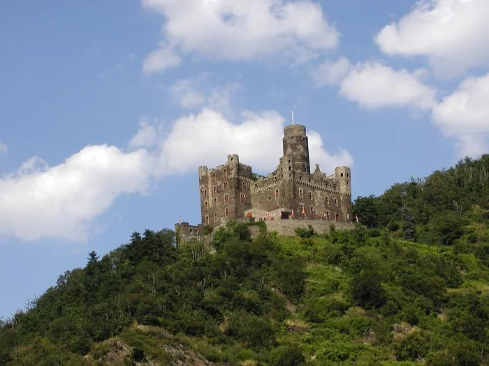 Castle on the Rhine