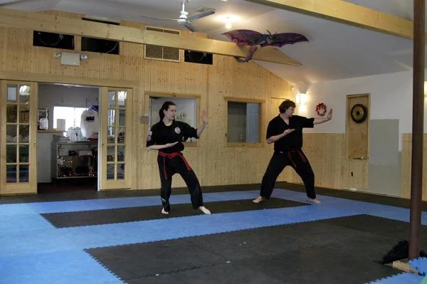 Doing forms for my black belt test, December 2004