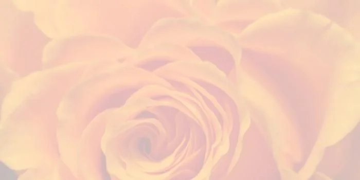 Einklang Rose Background