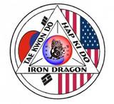 Iron Dragon Martial Arts Patch