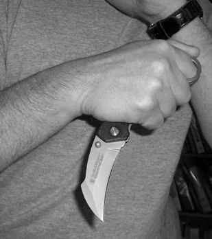 Kerambit in Reverse Grip