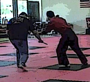 MartialTalk Southern Meet and Greet 2008 Reverse Grip vs