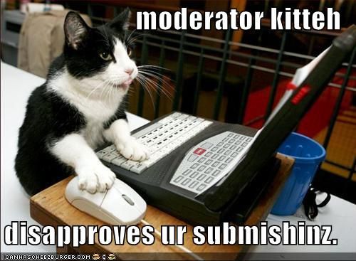 moderator kitteh