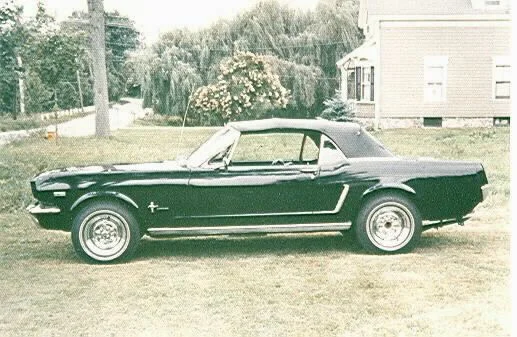 My 64 1/2 stang