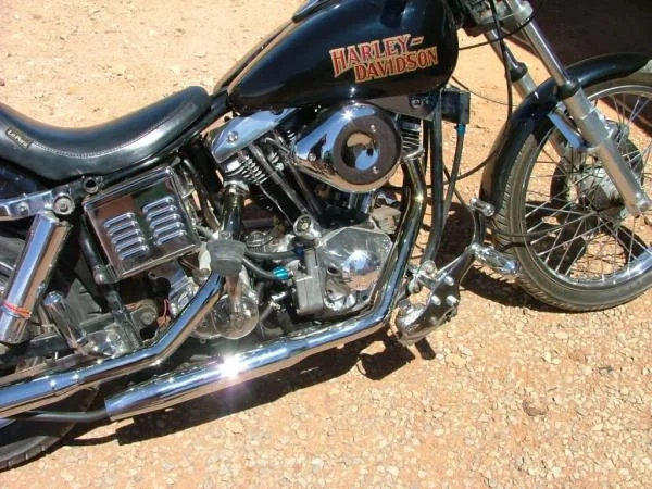 My hog 2