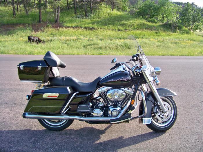My Road King with Touring pack and Donkey in back ground