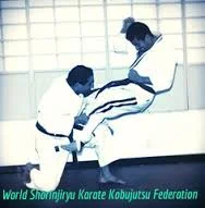 Okinawa KarateJutsu