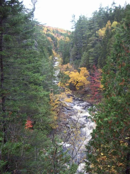 Our view from the ledge where we ate lunch.